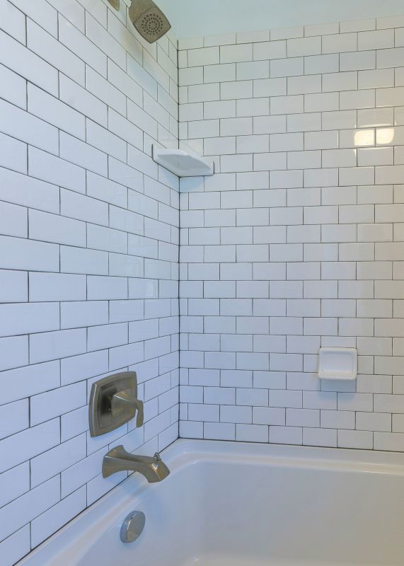 Shower Tile Regrouting Services